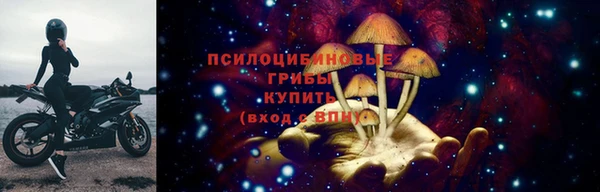 ALPHA-PVP Заводоуковск